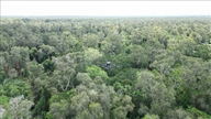 Ca Mau käyttää "kaikkinäkeviä silmiä" pitääkseen metsät turvassa kuivan kauden aikana.