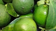 Lemon peel and its health benefits, but it's important to use it correctly.