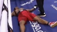 Opmerkelijk genoeg werd de vechter 'in de steek gelaten' nadat hij met slechts één stoot knock-out was geslagen.
