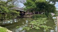Die mit Ziegeln gedeckte Thanh-Toan-Brücke, ein nationales historisches Denkmal, ist aufgrund von Müll unansehnlich.