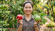 Médicos revelam os fatores que determinam o valor nutricional das frutas.