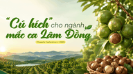 A boost for the macadamia industry in Lam Dong.
