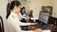 Digitalizar la administración tributaria para combatir la evasión fiscal.