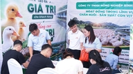 En livlig jobmesse på Thai Nguyen Universitet for Landbrug og Skovbrug.