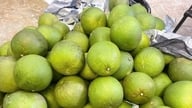 Las exportaciones de frutas y hortalizas aspiran a alcanzar los 10.000 millones de dólares en 2026.