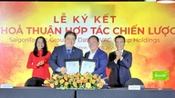 DatVietVAC и Saigontourist Group сотрудничают в целях развития культурной и туристической экосистемы.