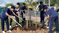 Studerende slår sig sammen om at gøre den kreative plads på Vietnam National University Ho Chi Minh City grønnere.