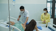 Ngộ độc nấm rừng: Dấu hiệu và cách phòng tránh