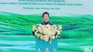 ESG Valley „vypráví příběh“ čajové kultury regionu Junzhou.