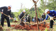 Op veel plaatsen in de provincies Lam Dong en Dak Lak is het "Boomplantfestival ter nagedachtenis aan president Ho Chi Minh" van start gegaan.