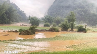 Previsioni meteo per il 20 maggio: piogge intense e continue in molte province settentrionali.