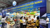 Affirming the position of Vietnamese goods in the domestic market.