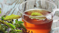 3 loại lá thông dụng hỗ trợ điều trị tăng huyết áp