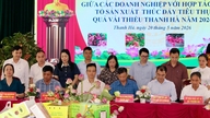 លើកកម្ពស់ការទទួលទានផ្លែលីឈី Thanh Ha។