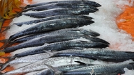 Туристи товпляться, щоб «полювати» на свіжі морепродукти на знаменитому рибному ринку Куа Ло.