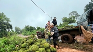 Les prix du durian se sont redressés le 21 mai 2026, le durian thaïlandais atteignant 87 000 VND/kg.