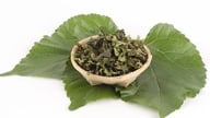 برگ آشنای مورد استفاده برای تغذیه کرم‌های ابریشم، یک گیاه دارویی ارزشمند نیز هست که به تغذیه ریه‌ها و تسکین سرفه کمک می‌کند.