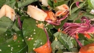 Houttuynia cordata (مچھلی ٹکسال) کے 6 صحت سے متعلق فوائد