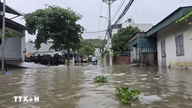 Door hevige regenval zijn er in sommige delen van de provincie Quang Ninh plaatselijke overstromingen ontstaan.