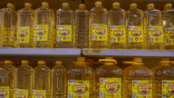 Warning about the risks of the trend of using cooking oil instead of diesel in the Czech Republic.