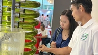 Mikä on niin erityistä Ho Chi Minh Cityn parhaillaan käynnissä olevissa vihreän teknologian markkinoilla?
