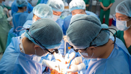 Kapløbet om organtransplantationer reddede 12 liv.