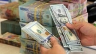 আজ, ২৩শে মে, USD/VND বিনিময় হার: কালোবাজারি দর ব্যাপকভাবে হ্রাস পেয়েছে।