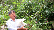 Vinh Long: Ældre landmand dedikerer 2,6 hektar jord til en flok vilde fugle.