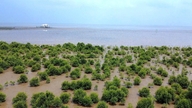 Le Vietnam intensifie ses efforts pour réduire ses émissions et lutter contre le changement climatique.