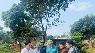 Hanoi on käytännössä saanut päätökseen Hoa Lac High-Tech Park -projektin maan raivauksen ja inventoinnin.