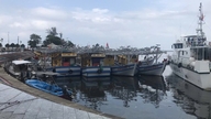 IUU 'یلو کارڈ' کو ہٹانے کے عمل کو تیز کرنا: ایک Giang ماہی گیری کے جہازوں پر آلات کی تنصیب کے لیے 11 ملین VND تک کی مدد فراہم کرتا ہے۔