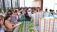 Hanoi granskar den juridiska statusen för alla fastighetsbörser.