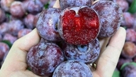 Adakah plum baik untuk anda, dan siapa yang patut memakannya?