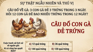 '닭 세 마리가 사흘에 걸쳐 알 세 개를 낳는다'라는 수수께끼는 어른들의 90%가 틀립니다.