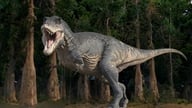 Hvorfor havde T-rexen så små arme, selvom den var et kæmpe rovdyr?