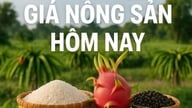 តម្លៃទំនិញកសិកម្មថ្ងៃនេះ ថ្ងៃទី 2 ខែមិថុនា ឆ្នាំ 2026៖ តម្លៃកាហ្វេទំនងជាមិនធ្លាក់ចុះគួរឱ្យកត់សម្គាល់ទេ ដោយសារតែ 'សូចនាករសុខភាពផ្គត់ផ្គង់' មិនល្អ អ៊ីរ៉ង់ផ្អាកការចរចា និងតម្លៃប្រេងពិភពលោកកើនឡើងម្តងទៀត។