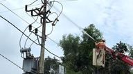 Tuyen Quang Power Company anvender nye teknologier og fremmer tekniske innovationsinitiativer for at forbedre arbejdsproduktiviteten.