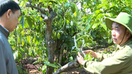 Agricultura inteligente, miles de millones en ganancias.