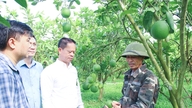 উদ্ভাবনী, বাস্তবসম্মত ও সুনির্দিষ্ট চিন্তাভাবনার মাধ্যমে সংকল্পটি বাস্তবায়ন করুন।