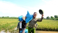 Hvilken slags specialdyr opdrætter de lokale i rismarkerne i Hai Phong (tidligere Hai Duong), og salget af begge gør dem meget efterspurgte?