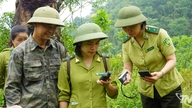 'Mawar biru' di tengah-tengah hutan yang luas.