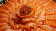 Per la salute, è meglio mangiare il salmone crudo o cotto?