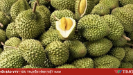 ASEAN-durianer oversvømmer det kinesiske marked.