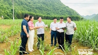 Bám sát thực tiễn, kiến tạo những vấn đề nhân dân cần
