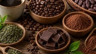 50トンものカフェイン混入スキャンダルを受けて：医師たちが、多くのコーヒー愛飲者が抱える疑問に答える。