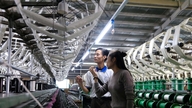 La provincia di Lam Dong sta sviluppando la sua industria della seta in modo sostenibile.