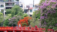 都市の木々の色彩