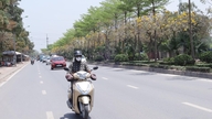 Thời tiết hôm nay 24.5: Bắc Bộ nắng nóng, Nam Bộ mưa dông