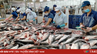 ASEAN - A potential market for pangasius exports.