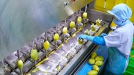 Can Tho accelerates mechanization across the entire agricultural production chain.